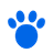 Pet Insurance